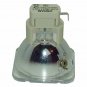 BenQ 5J.JAM05.001 Osram Projector Bare Lamp