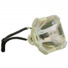 Dukane 456-9060 Ushio Projector Bare Lamp
