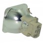 Acer EC.J3401.001 Osram Projector Bare Lamp