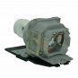 Sony LMP-E191 Compatible Projector Lamp With Housing