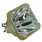 Original Philips Bare Projector Lamp for Infocus SP-LAMP-031