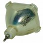 Original Philips Bare Projector Lamp for Infocus SP-LAMP-031