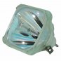 Original Philips Bare Lamp For Epson ELPLP17