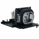 Liesegang ZU1240-04-4010 Ushio Projector Lamp Module