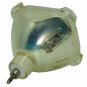 Barco R9841111 Philips Projector Bare Lamp