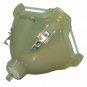 Original Osram Bare Projector Lamp for Infocus SP-LAMP-LP9
