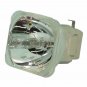 GP Evergrow GP-DLP12 Osram Projector Bare Lamp