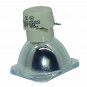 Original Philips Bare Projector Lamp for Infocus SP-LAMP-045