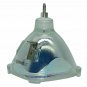 Canon LV-LP07 Philips Projector Bare Lamp