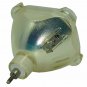 Original Philips Bare Lamp For Epson ELPLP15