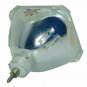 Panasonic ET-SLMP21 Philips Projector Bare Lamp