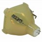 Davis 2940050 Philips Projector Bare Lamp