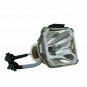 Original Ushio Bare Projector Lamp for Infocus SP-LAMP-015
