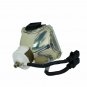 Original Ushio Bare Projector Lamp for Infocus SP-LAMP-015