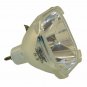 Hitachi DT00201 Philips Projector Bare Lamp