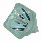Hitachi DT00501 Philips Projector Bare Lamp