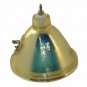 Boxlight MP36T-930 Philips Projector Bare Lamp