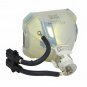 Ushio UMPRD250MD Ushio Projector Bare Lamp