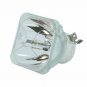 Ushio NSHA170D Ushio Projector Bare Lamp