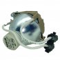 Acer SP.83401.001 Osram Projector Bare Lamp