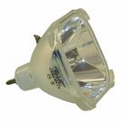 Liesegang ZU0256-04-4010 Philips Projector Bare Lamp