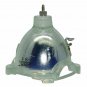 EyeVis DLP Lamp Philips Bare TV Lamp