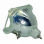 Planar 151-0005 Philips Projector Bare Lamp