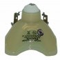 Original Philips Bare Lamp For Epson ELPLP27
