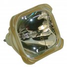 Original Philips Bare Lamp For Epson ELPLP12