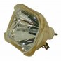 Original Philips Bare Lamp For Epson ELPLP12