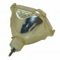 Original Philips Bare Lamp For Epson ELPLP12