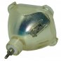 Ask Proxima LAMP-031 Philips Projector Bare Lamp
