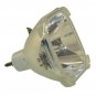 Boxlight CP14T-930 Philips Projector Bare Lamp