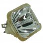 Boxlight CP310T-930 Philips Projector Bare Lamp
