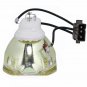 Original Phoenix ELPLP46 Bare Lamp For Epson Projectors