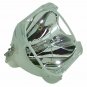 Original Osram Bare Projector Lamp for Infocus SP-LAMP-031