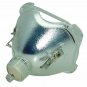 Original Osram Bare Projector Lamp for Infocus SP-LAMP-031