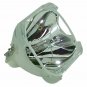 Original Osram Bare Projector Lamp for Infocus SP-LAMP-031