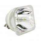 Canon RS-LP08 Ushio Projector Bare Lamp