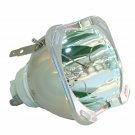 Barco R9801277 Philips Projector Bare Lamp