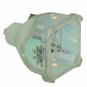 Original Philips Bare Projector Lamp for Infocus LAMP-029