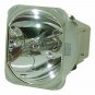 Optoma BL-FP165A Osram Projector Bare Lamp