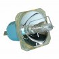 Original Philips Bare Projector Lamp for Infocus SP-LAMP-013