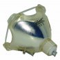 Panasonic ET-SLMP53 Philips Projector Bare Lamp