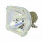 Phoenix SHP10 Phoenix Projector Bare Lamp