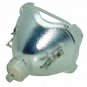 Original Osram Bare Lamp for Epson ELPLP28