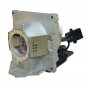 BenQ 5J.J2D05.011 Compatible Projector Lamp With Housing