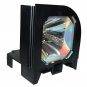 Sony LMP-F300 Compatible Projector Lamp With Housing