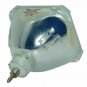Original Philips Bare Projector Lamp for Infocus SP-LAMP-LP755
