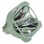 Ask Proxima LAMP-026 Osram Projector Bare Lamp